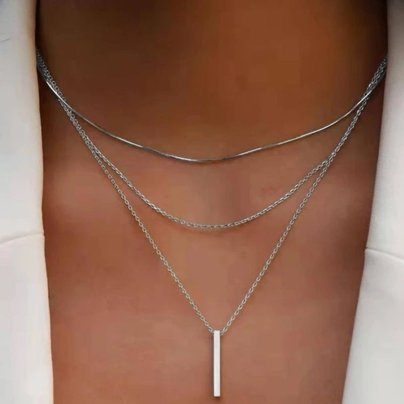 Silver Necklace - Picture 1 of 2